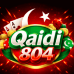 feature image qaidi804